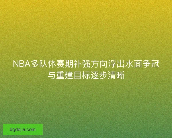 NBA多队休赛期补强方向浮出水面争冠与重建目标逐步清晰